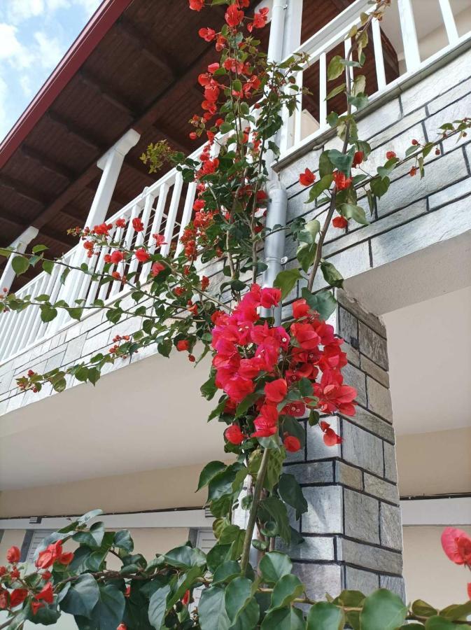 Bella Terra Nature Living Asproválta Luaran gambar